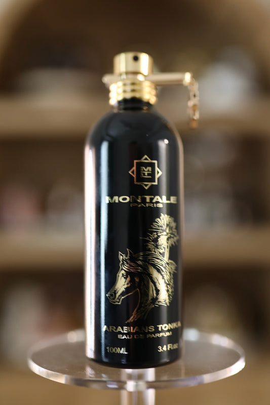 Arabians Tonka by Montale
